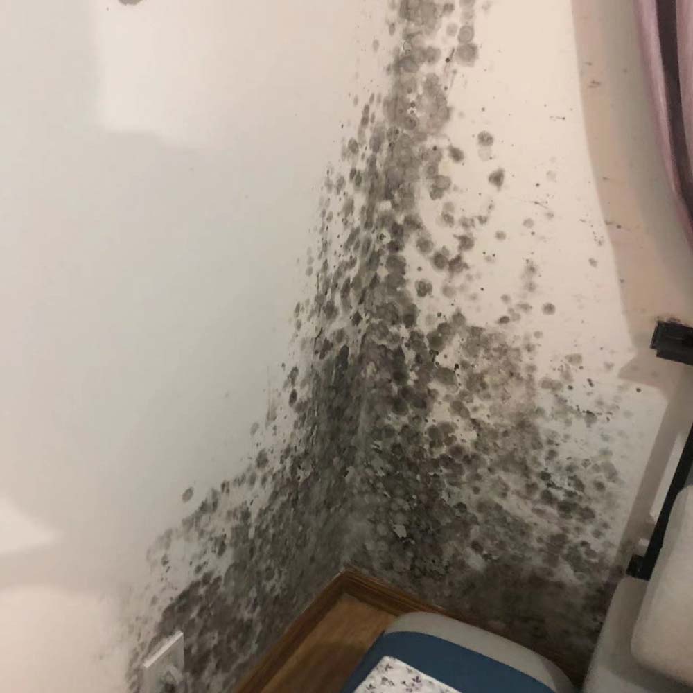 墙面渗水漏水发霉